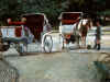 Central_park_two_carriages_24x36cl2.jpg (252665 bytes)