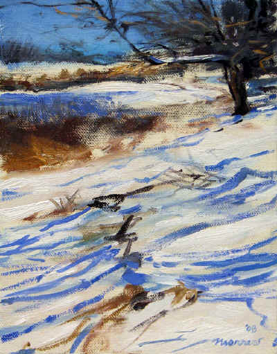 cooper_farm_snow_shadows_oil_sketch_8x6.jpg (219539 bytes)