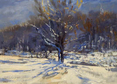 cooper_farm_tree_shadows_oil_sketch_5x7.jpg (169317 bytes)